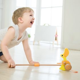 CLASSIC-WORLD-Wooden-Duck-Pusher-For-Children-2