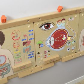 MASTERKIDZ-Montessori-Respiratory-System-Educational-Board-3