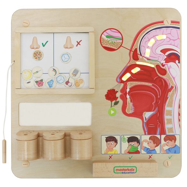 MASTERKIDZ-Montessori-Sense-of-Smell-Educational-Board MASTERKIDZ Montessori Sense of Smell Educational Board