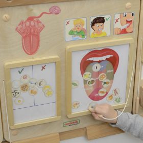 MASTERKIDZ-Montessori-Sense-of-Taste-Educational-Board-1