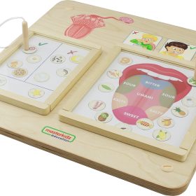 MASTERKIDZ-Montessori-Sense-of-Taste-Educational-Board-3
