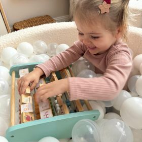 TOOKY-TOY-Double-Sided-Abacus-Alphabet-Pictures-1