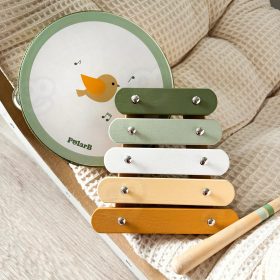 VIGA-PolarB-Musical-Instrument-Set-Green-3