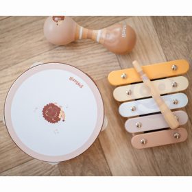 VIGA-PolarB-Musical-Instrument-Set-with-Hedgehog-3