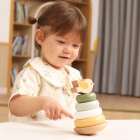 VIGA-PolarB-Wooden-Educational-Pyramid-Bird-1