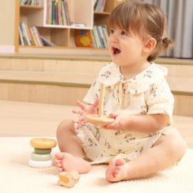 VIGA-PolarB-Wooden-Educational-Pyramid-Bird-2