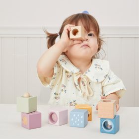 VIGA-PolarB-Wooden-Sensory-Blocks-3