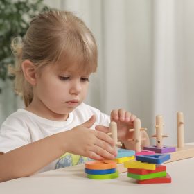 VIGA-Wooden-Montessori-Shape-Sorter-Blocks-3