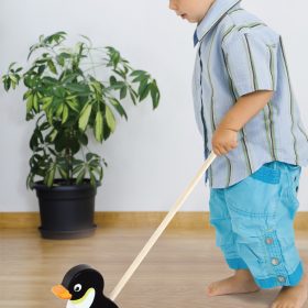 Viga-Toys-Wooden-Penguin-Pusher-2