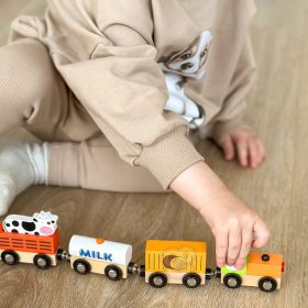 VIGA-Set-of-accessories-for-the-train-agricultural-train-1