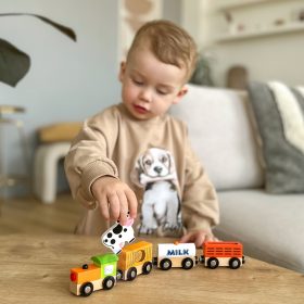 VIGA-Set-of-accessories-for-the-train-agricultural-train-3