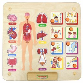 MASTERKIDZ-Montessori-Human-Body-System-Educational-Board-1