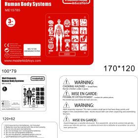MASTERKIDZ-Montessori-Human-Body-System-Educational-Board-2